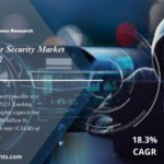 Automotive Cyber Security Market Size till 2024