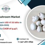 Europe Mushroom Market Growth and Size, Demand, Rising Trends, Revenue, CAGR Status, Business Challenges, Future Opportunities and Forecast Analysis Till 2033: SPER Market Research