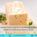 United States Cheese Market Report, Size, Share, Growth, Company Analysis, Insights – Forecast (2024 - 2030)