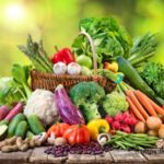 Europe Organic Food Market Report 2024-2032: Product Types, Distribution Channels, Country and Company Analysis—Organic Fruits, Vegetables, Meat, Dairy, Processed Food, and More.