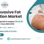 Non Invasive Fat Reduction Market Analysis 2024, Size, Rising Demand, Key Players, Revenue Trends, Opportunities and Forecast Outlook till 2033: SPER Market Research