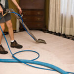 Elevate Your Home with Residential Carpet Cleaning in Chicago